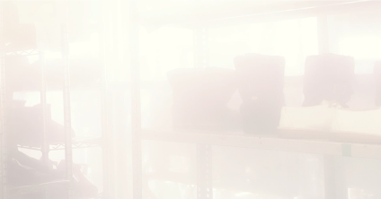 プロが行う靴の脱臭と除菌